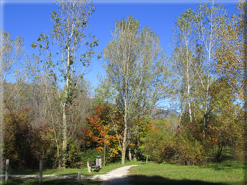 foto Oasi San Daniele